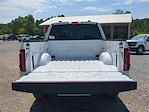 2025 Ford F-150 SuperCrew Cab 4x4 Pickup for sale #25FT684 - photo 21