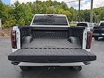 2024 GMC Sierra 3500 Crew Cab 4x4 Pickup for sale #25FT721B - photo 21