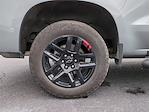 2024 Chevrolet Silverado 1500 Crew Cab 4WD Pickup for sale #25FT970A - photo 11