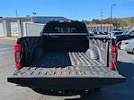 2021 Ford F-250 Crew Cab 4WD Pickup for sale #26FT282A - photo 13