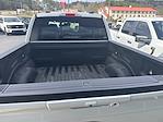 2024 Ford F-150 SuperCrew Cab 4WD Pickup for sale #26FT282B - photo 6