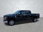 2023 Ford F-150 SuperCrew Cab 4x4 Pickup for sale #PA9451 - photo 3