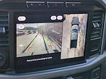 2024 Ford F-150 SuperCrew Cab 4WD Pickup for sale #PA9574 - photo 19