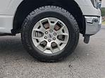 2023 Ford F-150 SuperCrew Cab 4x4 Pickup for sale #PW9424 - photo 19
