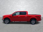 2019 Ford F-150 SuperCrew Cab 4x4 Pickup for sale #PW9447 - photo 15