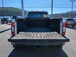 2022 Ford F-450 Crew Cab DRW 4WD Pickup for sale #PW9561 - photo 13