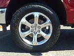 2023 Ford F-150 SuperCrew Cab 4WD Pickup for sale #240704A - photo 9