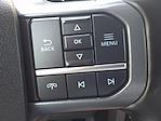2023 Ford F-150 SuperCrew Cab 4WD Pickup for sale #240704A - photo 25