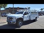 2024 Ford F-450 Regular Cab DRW 4WD, Royal Truck Body Service Combo Body for sale #241071 - photo 11