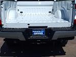 2019 Ford F-350 Crew Cab SRW 2WD Pickup for sale #243130A - photo 16
