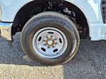 2024 Ford F-250 Regular Cab 2WD Royal Service Truck for sale #244240 - photo 9