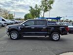 2024 Ford F-150 SuperCrew Cab 4WD Pickup for sale #250959A - photo 7