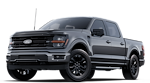 2025 Ford F-150 SuperCrew Cab 2WD Pickup for sale #C251005 - photo 23