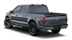 2025 Ford F-150 SuperCrew Cab 4WD Pickup for sale #251178 - photo 24