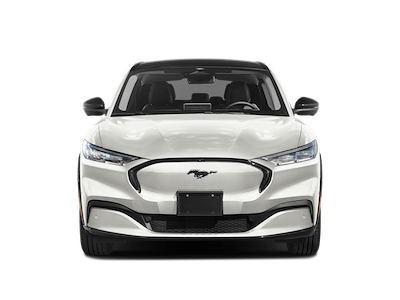 New 2025 Ford Mustang Mach-E - photo 1