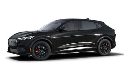 2025 Ford Mustang Mach-E RWD SUV for sale #251743 - photo 1