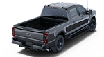 2025 Ford F-250 Crew Cab 4WD Pickup for sale #251858 - photo 25