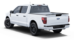 2025 Ford F-150 SuperCrew Cab 2WD Pickup for sale #251951 - photo 24