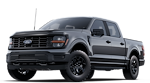 2025 Ford F-150 SuperCrew Cab 4WD Pickup for sale #251952 - photo 23