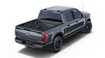 2025 Ford F-150 SuperCrew Cab 2WD Pickup for sale #251954 - photo 25