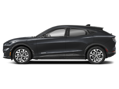 New 2025 Ford Mustang Mach-E - photo 1