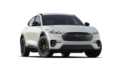 New 2025 Ford Mustang Mach-E - photo 1