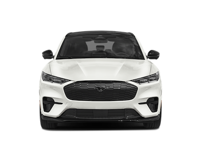 New 2025 Ford Mustang Mach-E - photo 1