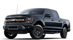 New 2025 Ford F-150 Tremor SuperCrew Cab 4WD Pickup for sale #252196 - photo 22