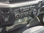 New 2026 Ford F-150 XL Regular Cab for sale #260684 - photo 14