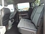 2023 Ford F-150 SuperCrew Cab 4WD Pickup for sale #E0371 - photo 17