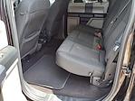 2020 Ford F-150 SuperCrew Cab 4WD Pickup for sale #P8743 - photo 17