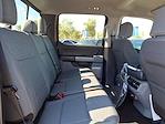 2024 Ford F-150 SuperCrew Cab 4WD Pickup for sale #P8776 - photo 14