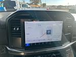 2024 Ford F-150 SuperCrew Cab 4x4 Pickup for sale #73343 - photo 18