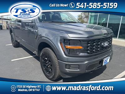 2025 Ford F-150 SuperCrew Cab 4x4 Pickup for sale #73585 - photo 1