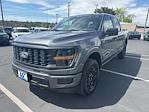 2025 Ford F-150 SuperCrew Cab 4x4 Pickup for sale #73585 - photo 10