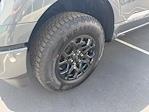 2025 Ford F-150 SuperCrew Cab 4x4 Pickup for sale #73585 - photo 12