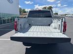 2024 Ford F-150 SuperCrew Cab 4x4 Pickup for sale #73615 - photo 6