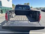 2025 Ford F-150 SuperCrew Cab 4x4 Pickup for sale #73618 - photo 10
