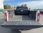 2020 Ford F-250 Crew Cab 4x4 Pickup for sale #73625A - photo 6