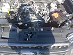 New 2025 Ford Ranger XLT SuperCrew Cab for sale #73677 - photo 23