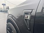 2023 Ford F-150 Regular Cab 4WD Pickup for sale #90877 - photo 12