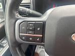 2024 Ford F-450 Crew Cab DRW 4x4 Pickup for sale #90987 - photo 35