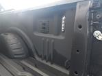 2024 Ford F-250 Crew Cab 4WD Pickup for sale #91034 - photo 12