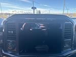 2023 Ford F-150 SuperCrew Cab 4WD Pickup for sale #91042 - photo 17