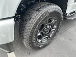 New 2024 Ford F-250 XL Crew Cab 4x4 Pickup for sale #F73415 - photo 16