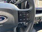 2025 Ford F-550 Crew Cab DRW 4x4 Cab Chassis for sale #F73560 - photo 33