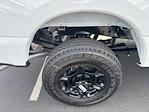 New 2025 Ford F-350 XL Regular Cab 4x4 SRW Pickup for sale #F73584 - photo 12