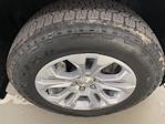 2025 Chevrolet Silverado 1500 Crew Cab 4WD Pickup for sale #TC062656 - photo 3
