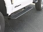 2024 Ford F-350 Regular Cab SRW 4x4 Pickup for sale #01T3086 - photo 4