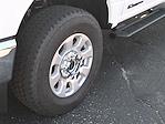 2024 Ford F-350 Regular Cab SRW 4x4 Pickup for sale #01T3086 - photo 17